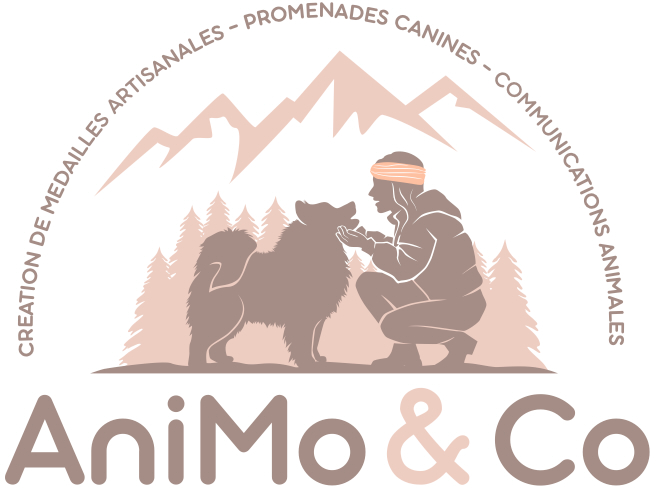 logo Animo and Co